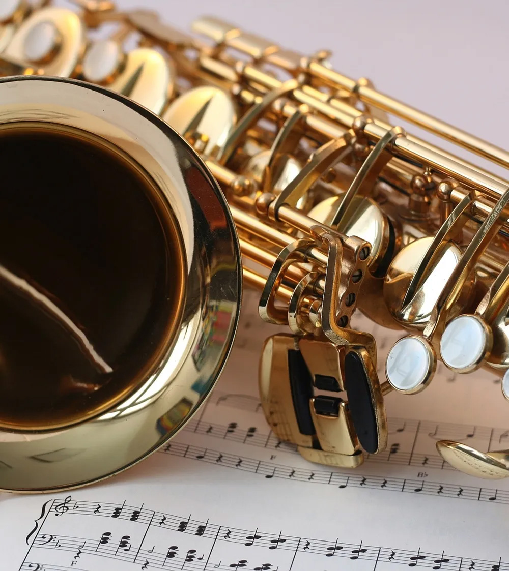 TEISĖTAS MUZIKOS KLAUSYMAS GROŽIO SALONUOSE