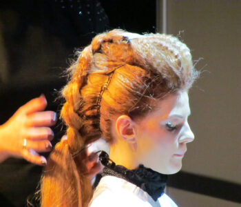 Profesionalu diena 2013